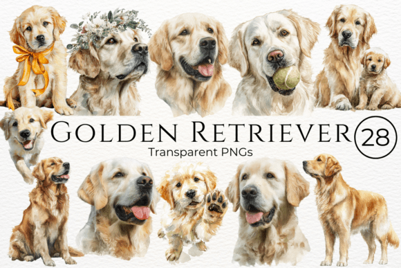 Download Golden Retriever Dog Watercolor Clipart - Golden Collection
